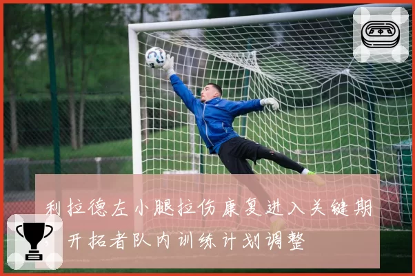 利拉德左小腿拉伤康复进入关键期,开拓者队内训练计划调整