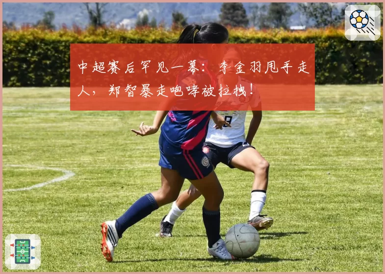 中超赛后罕见一幕:李金羽甩手走人,郑智暴走咆哮被拉拽!