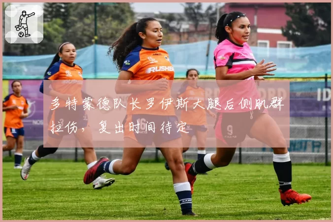 多特蒙德队长罗伊斯大腿后侧肌群拉伤,复出时间待定