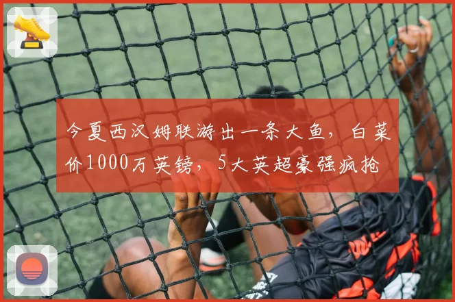 今夏西汉姆联游出一条大鱼,白菜价1000万英镑,5大英超豪强疯抢