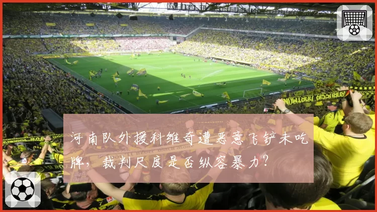 河南队外援科维奇遭恶意飞铲未吃牌，裁判尺度是否纵容暴力？
