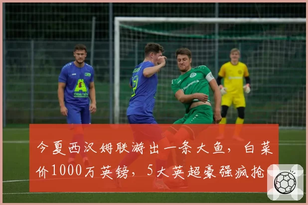 今夏西汉姆联游出一条大鱼，白菜价1000万英镑，5大英超豪强疯抢