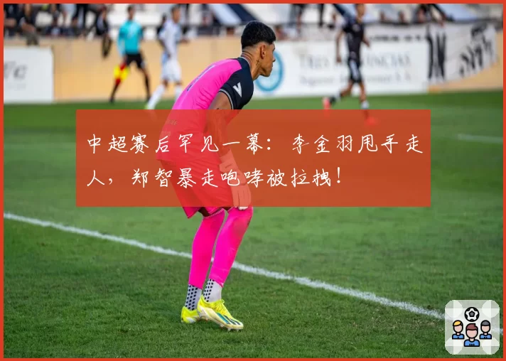 中超赛后罕见一幕:李金羽甩手走人,郑智暴走咆哮被拉拽!